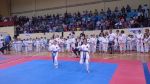 X Międzynarodowe Mistrzostwa w Karate SHINDO CUP 2015